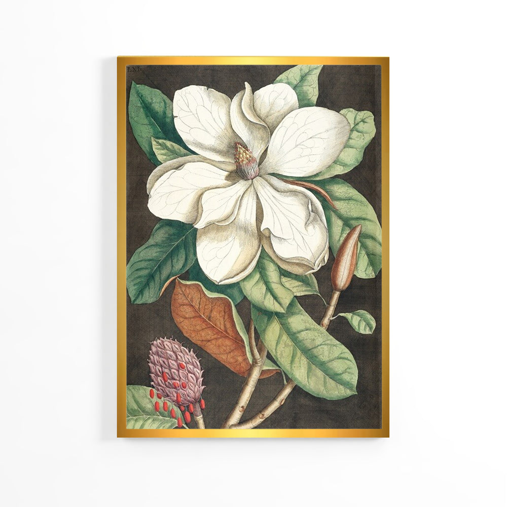 Natural Magnolia Flower Poster