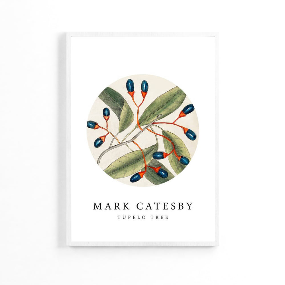 Natural Olives Poster