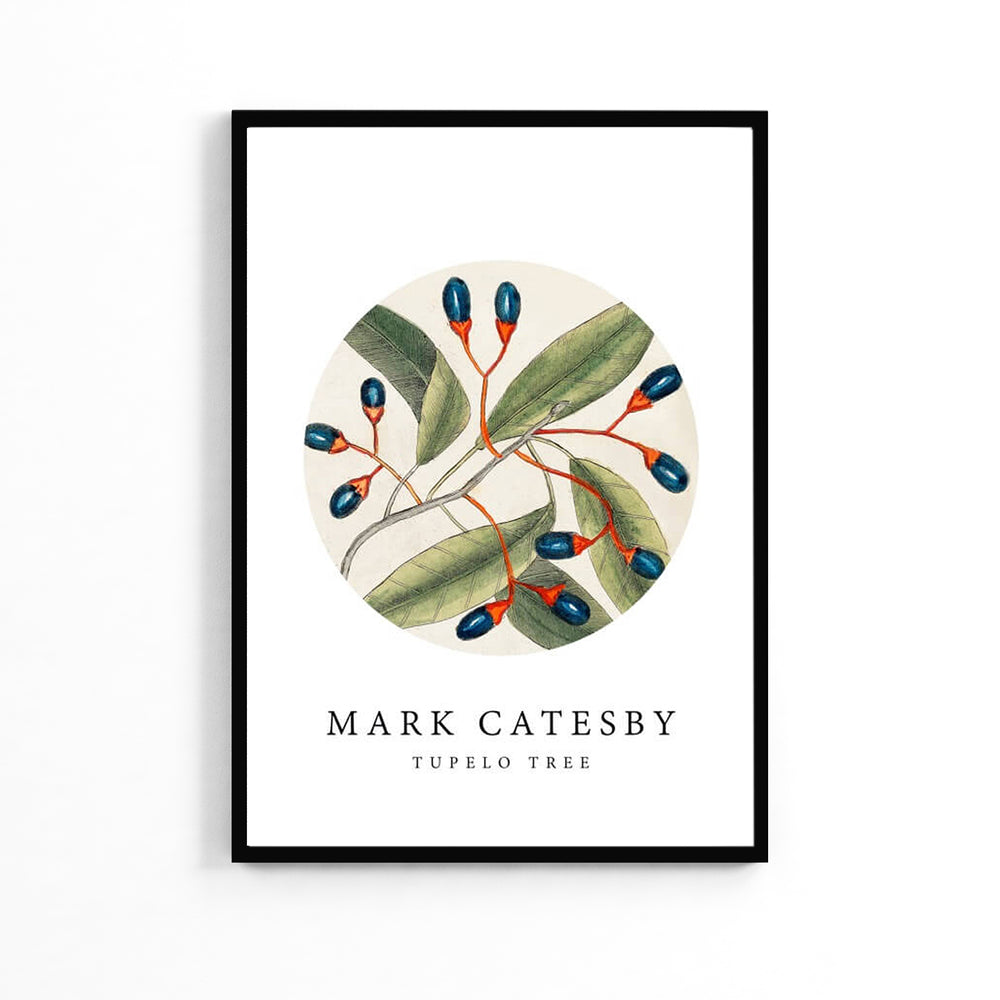 Natural Olives Poster