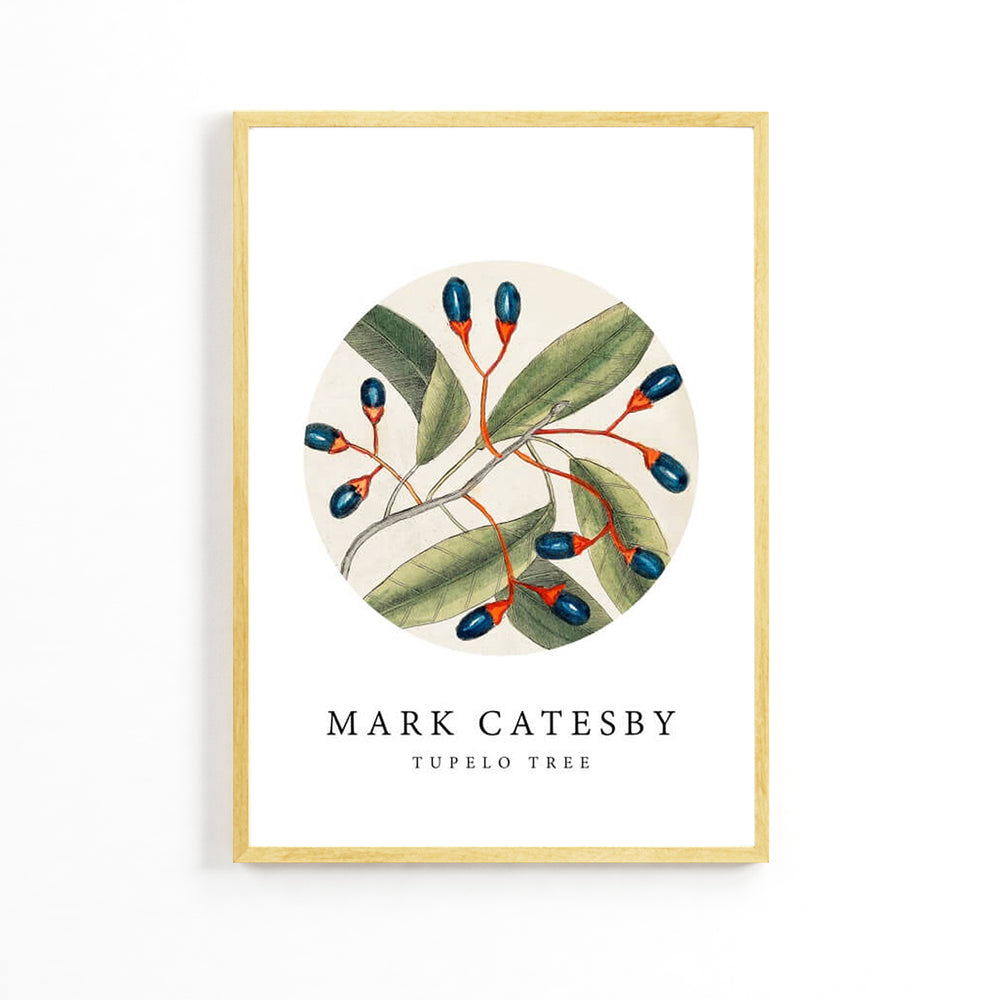 Natural Olives Poster