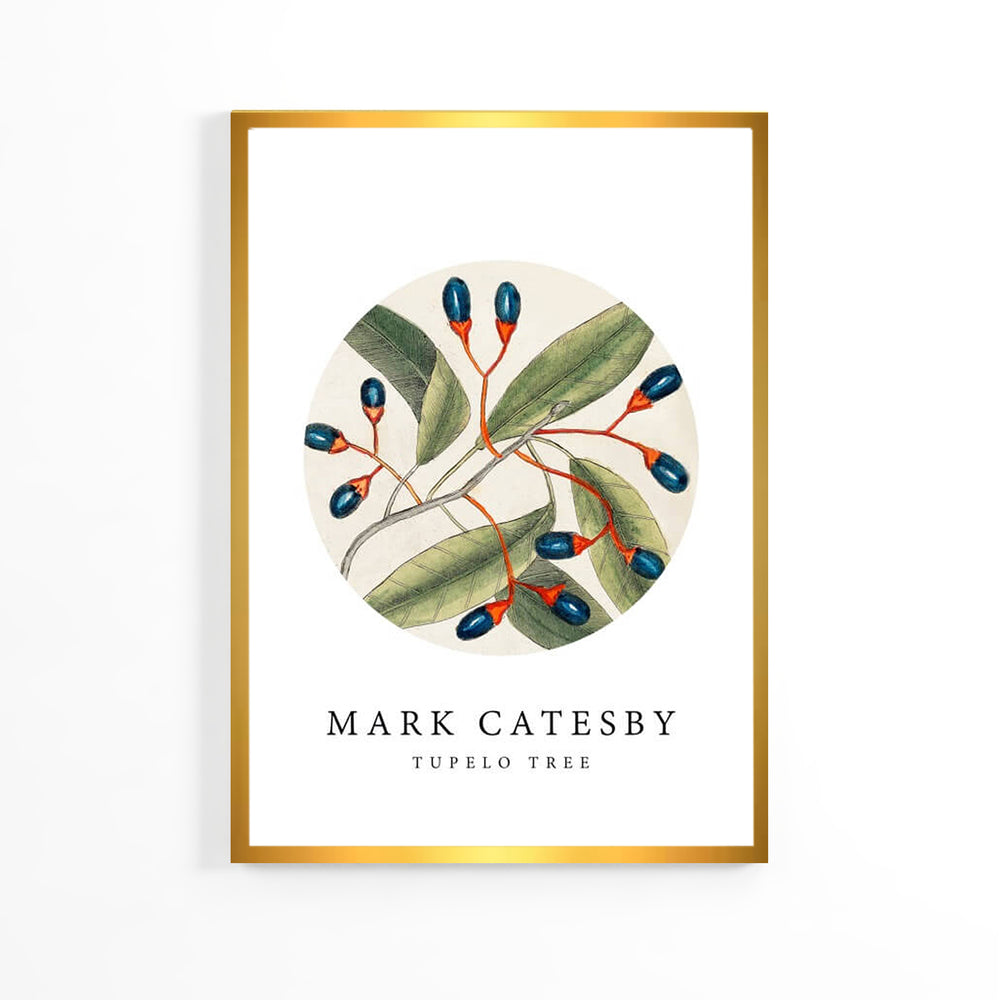 Natural Olives Poster