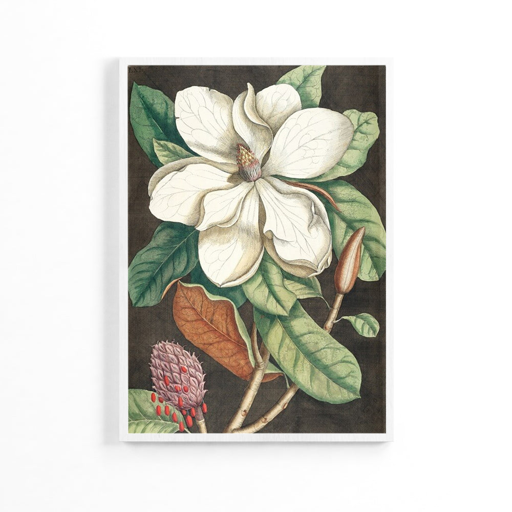 Natural Magnolia Flower Poster