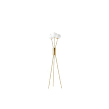Classic Tripod Floor Lamp