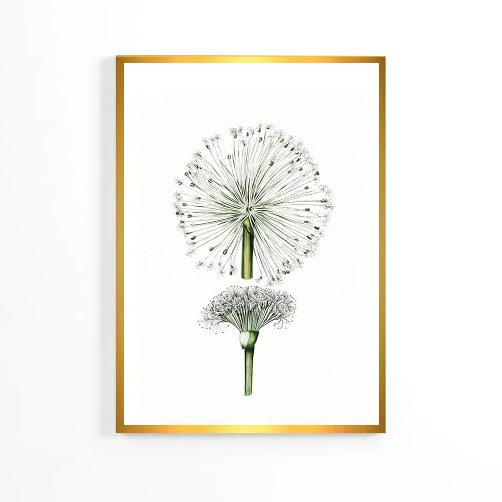 Summer Dandelion Poster