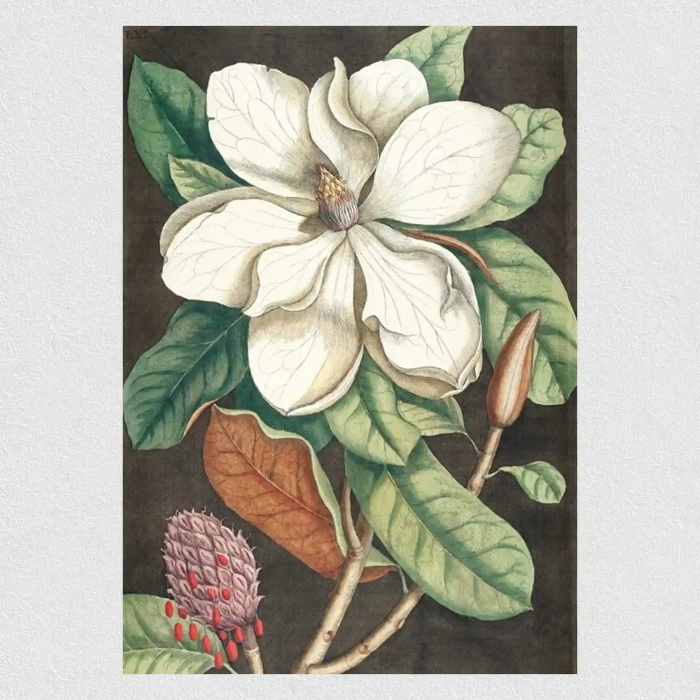 Natural Magnolia Flower Poster