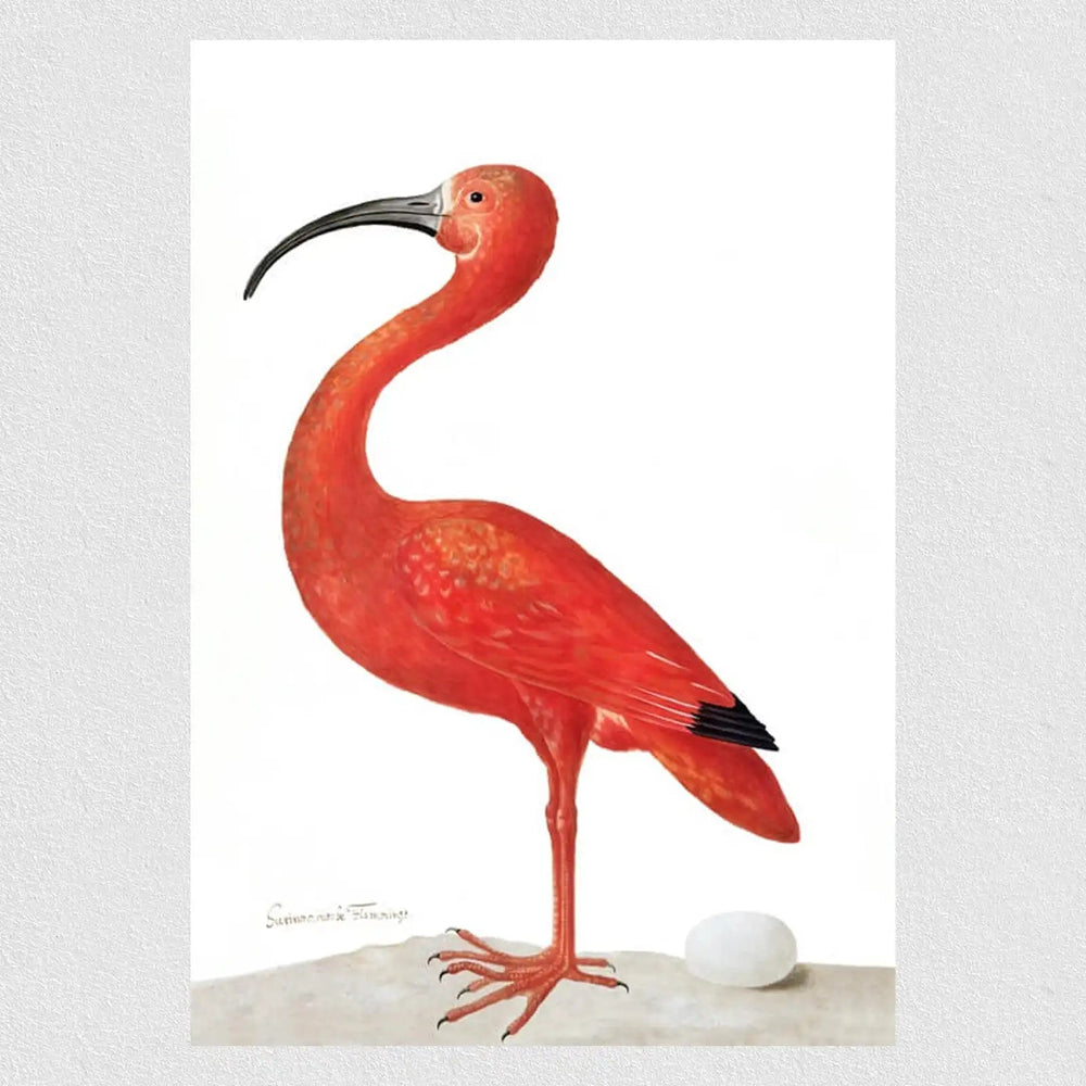 Natural Flamingo Poster