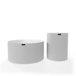 Белое дерево