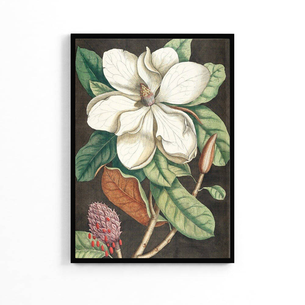 Natural Magnolia Flower Poster